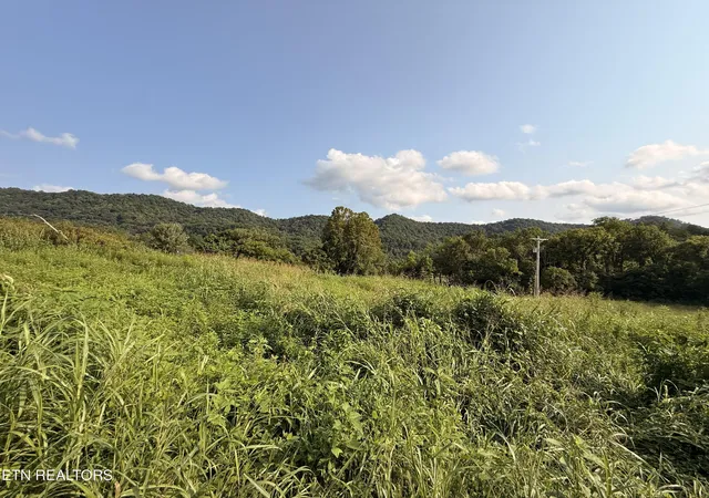 image of 000 Flower Gap Rd, Blackwater, VA 24221 | MLS# 1351603