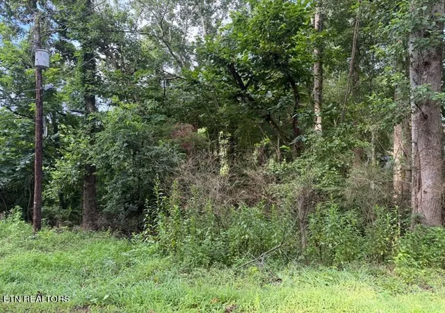 1st image of Black Jack Rd, Rockwood, TN 37854 | MLS# 1352346