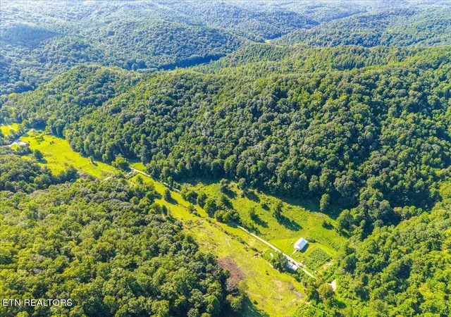 29th image of 259 Walden Hollow Ln, La Follette, TN 37766 | MLS# 1351962