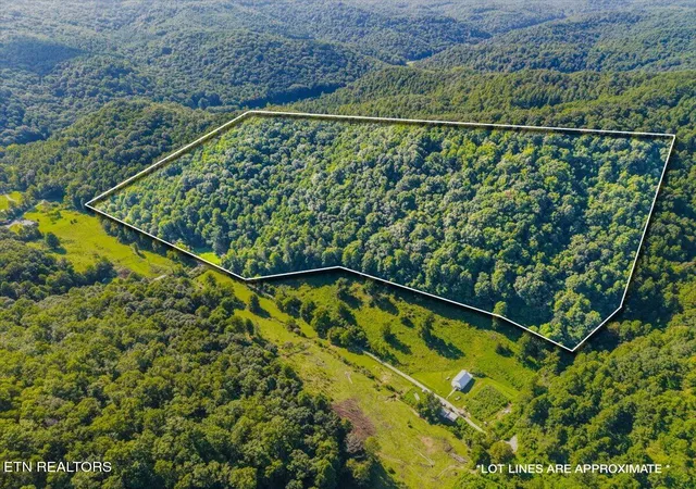 2nd image of 259 Walden Hollow Ln, La Follette, TN 37766 | MLS# 1351962