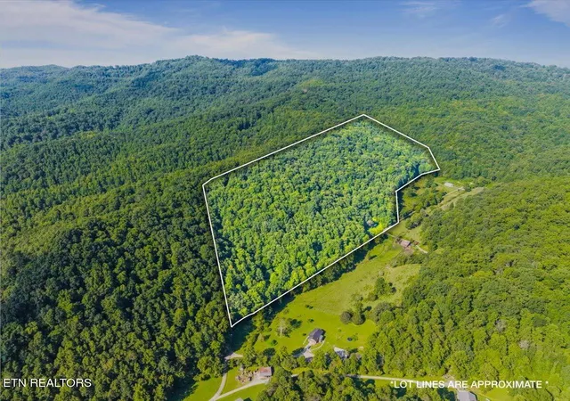 3rd image of 259 Walden Hollow Ln, La Follette, TN 37766 | MLS# 1351962