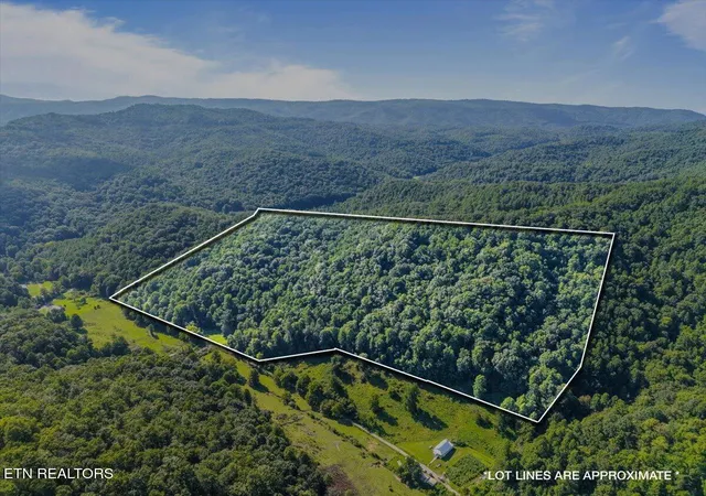 4th image of 259 Walden Hollow Ln, La Follette, TN 37766 | MLS# 1351962