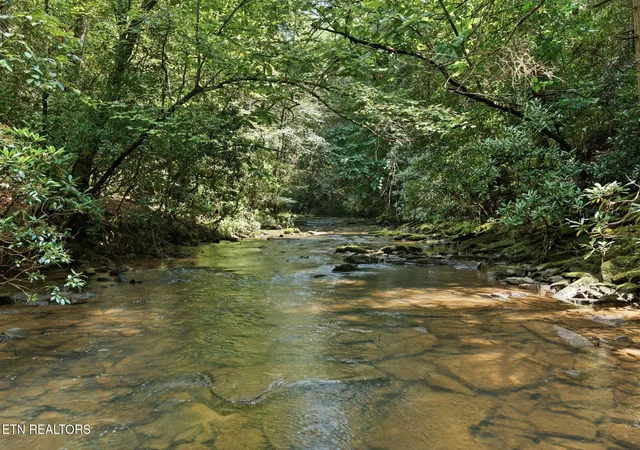 Photo 2 of Land for sale at Twin Brg Rd, Deer Lodge, TN 37726 | MLS# 1351674 | Listing updated on 2026-09-03