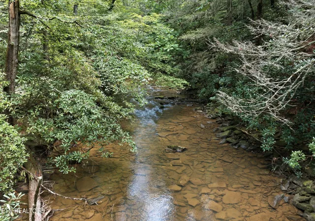 Photo 3 of Land for sale at Twin Brg Rd, Deer Lodge, TN 37726 | MLS# 1351674 | Listing updated on 2026-09-03