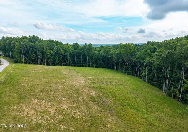 Photo 3 of Land for sale at Lot 590 Stone Hvn Trl, Jamestown, TN 38556 | MLS# 1351590 | Listing updated on 2026-08-13