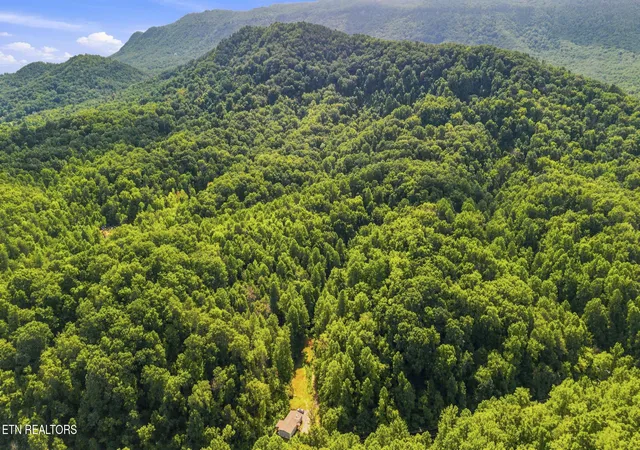 image of 2327 Dripping Springs Rd, Seymour, TN 37865 | MLS# 1351652