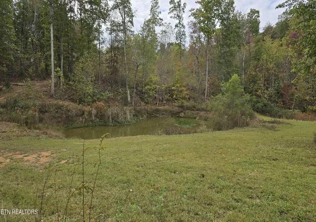 Photo 3 of Sale Pending at 381 Grapevine Rd, Crossville, TN 38572 | MLS# 1351621 | Listing updated on 2026-08-28