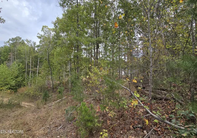 Photo 3 of Sale Pending at 381 Grapevine Rd, Crossville, TN 38572 | MLS# 1351621 | Listing updated on 2026-08-28