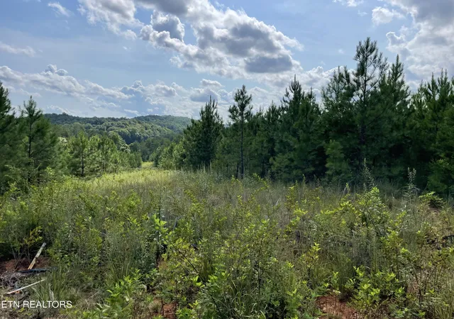 3rd image of Ridgeline Dr, Vonore, TN 37885 | MLS# 1351632