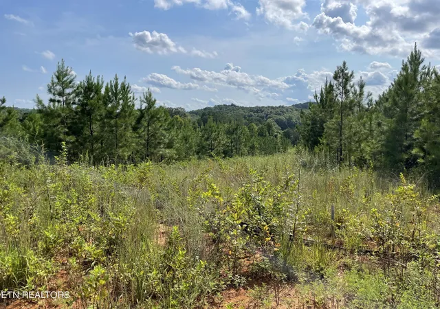 4th image of Ridgeline Dr, Vonore, TN 37885 | MLS# 1351632