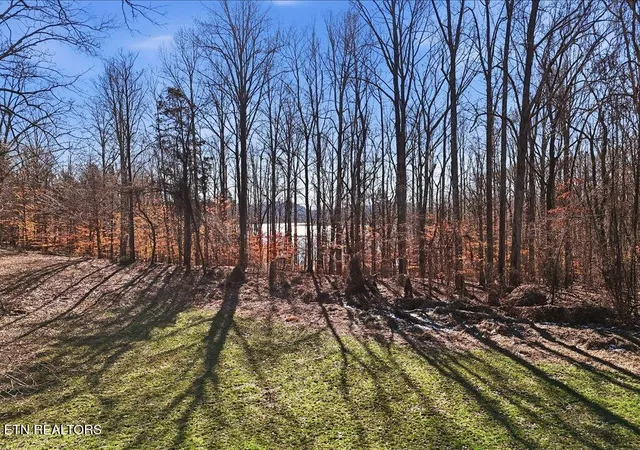 Photo 1 of Land for sale at 141 Red Cloud Ln, Rutledge, TN 37861 | MLS# 1351623 | Listing updated on 2026-08-13