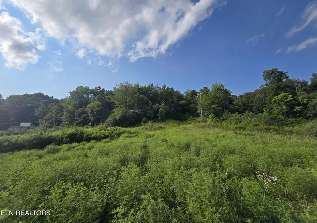 15th image of 44573 Veterans Memorial Hwy, Dryden, VA 24243 | MLS# 1351660