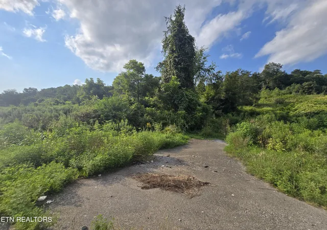 2nd image of 44573 Veterans Memorial Hwy, Dryden, VA 24243 | MLS# 1351660