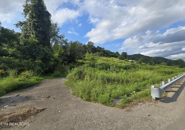 image of 44573 Veterans Memorial Hwy, Dryden, VA 24243 | MLS# 1351660