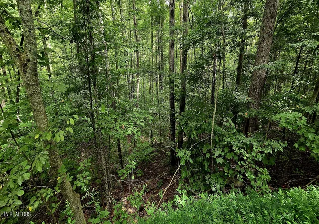 Photo 3 of Land for sale at 491 Chetola Tr, Townsend, TN 37882 | MLS# 1351692 | Listing updated on 2026-08-13