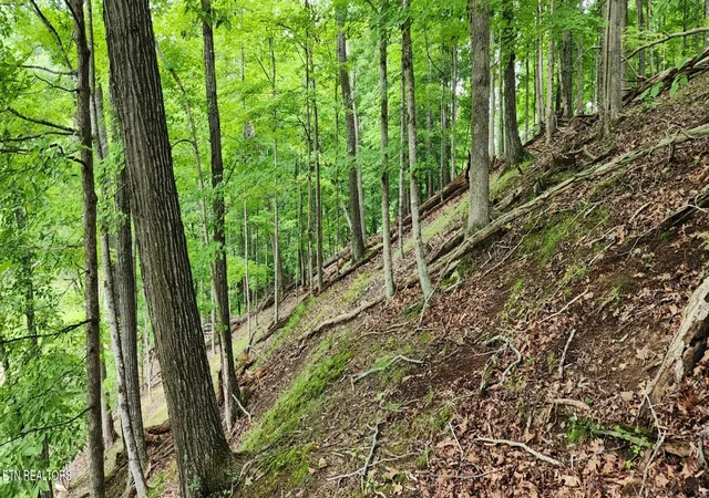 2nd image of 2109 Kahiti Ct, Mooresburg, TN 37811 | MLS# 1352006