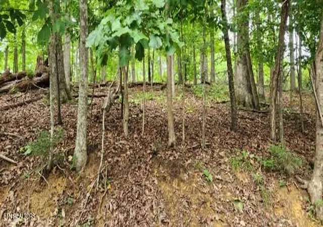 Photo 3 of Land for sale at 2109 Kahiti Ct, Mooresburg, TN 37811 | MLS# 1352006 | Listing updated on 2026-08-16