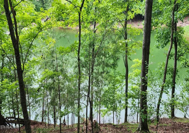 1st image of Kahiti Ct, Mooresburg, TN 37811 | MLS# 1352007