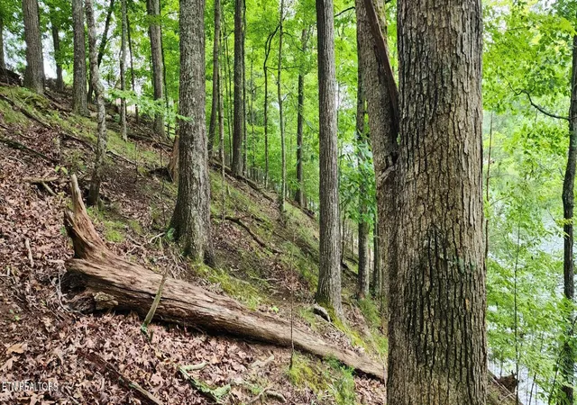 2nd image of Kahiti Ct, Mooresburg, TN 37811 | MLS# 1352007