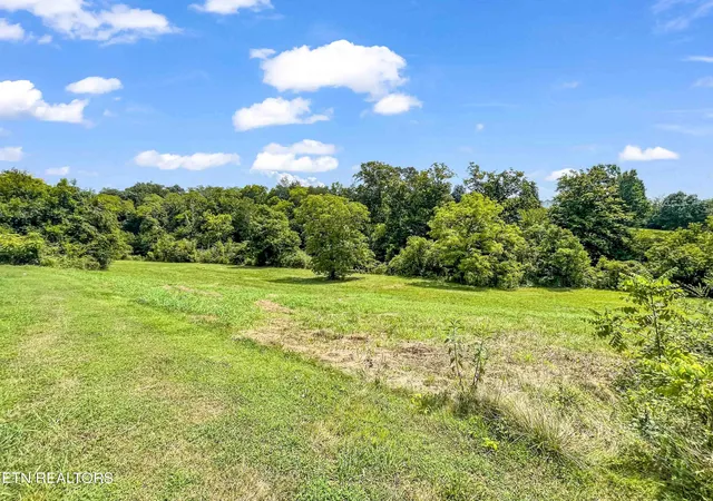 Photo 17 of Land for sale at Richland Rd, Blaine, TN 37709 | MLS# 1351992 | Listing updated on 2026-09-02