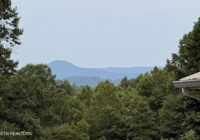 2nd image of 161 Slowpoke Tr, Dryden, VA 24243 | MLS# 1351775