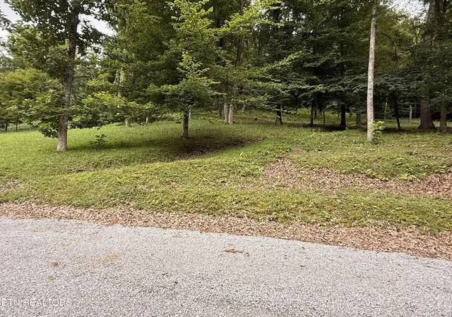 40th image of 161 Slowpoke Tr, Dryden, VA 24243 | MLS# 1351775