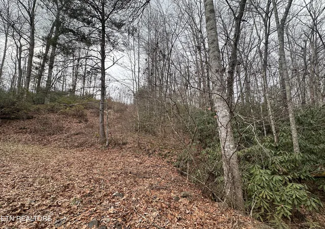 Photo 2 of Land for sale at 382 Acres S Of Franklin Rd, Jamestown, TN 38556 | MLS# 1351811 | Listing updated on 2026-08-14