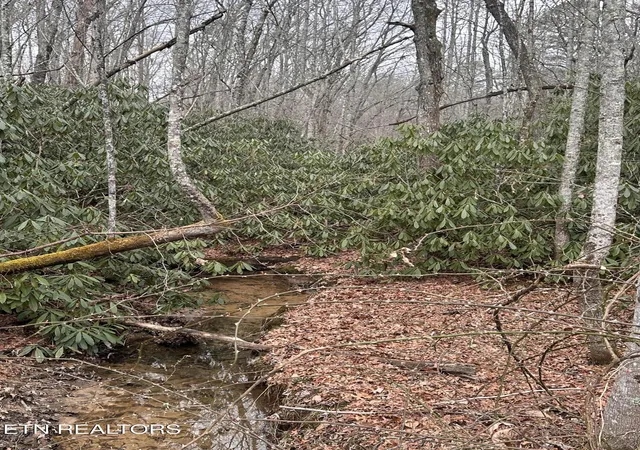 Photo 3 of Land for sale at 382 Acres S Of Franklin Rd, Jamestown, TN 38556 | MLS# 1351811 | Listing updated on 2026-08-14