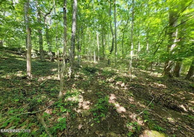 17th image of 159 Sugarbush Cir, Crossville, TN 38558 | MLS# 1351838