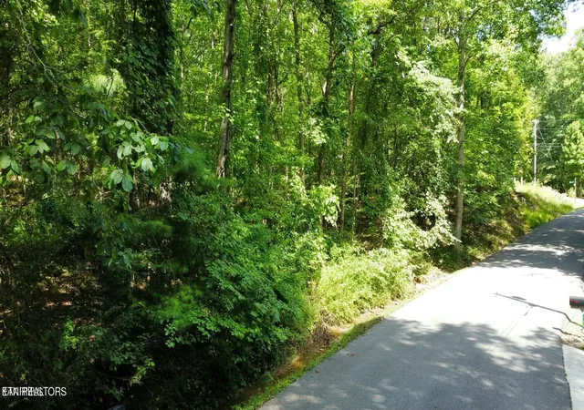 2nd image of 159 Sugarbush Cir, Crossville, TN 38558 | MLS# 1351838