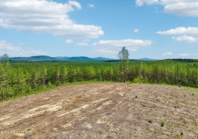 45th image of Nydeck Rd, Robbins, TN 37852 | MLS# 1351854