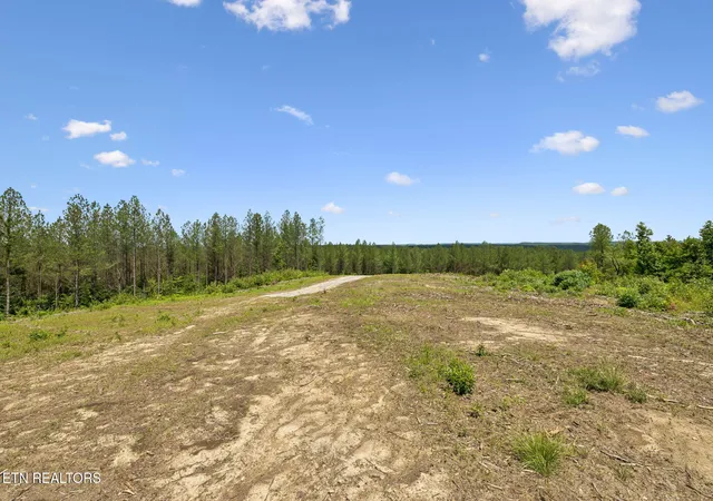 5th image of Nydeck Rd, Robbins, TN 37852 | MLS# 1351854