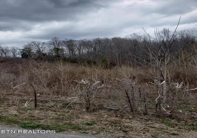 Photo 3 of Land for sale at W High Knob Rd, La Follette, TN 37766 | MLS# 1351868 | Listing updated on 2026-09-08