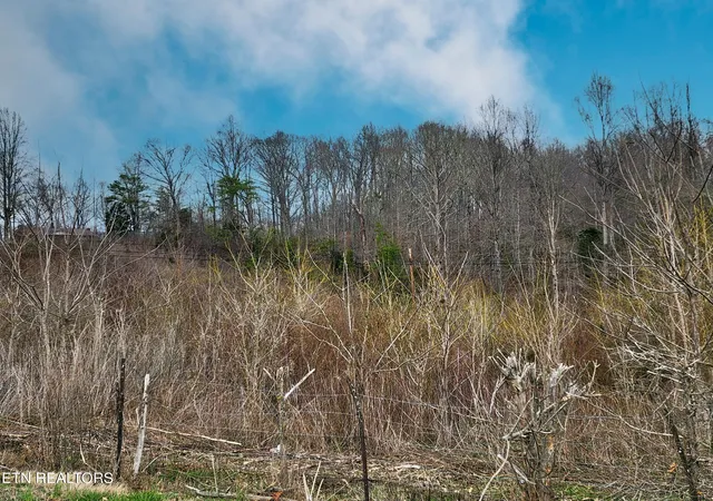 Photo 4 of Land for sale at W High Knob Rd, La Follette, TN 37766 | MLS# 1351868 | Listing updated on 2026-09-08