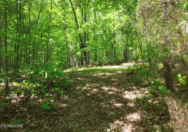 2nd image of Peters Ford Rd, Sunbright, TN 37872 | MLS# 1351913