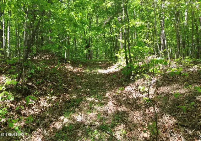 Photo 3 of Land for sale at Peters Frd Rd, Sunbright, TN 37872 | MLS# 1351913 | Listing updated on 2026-08-14