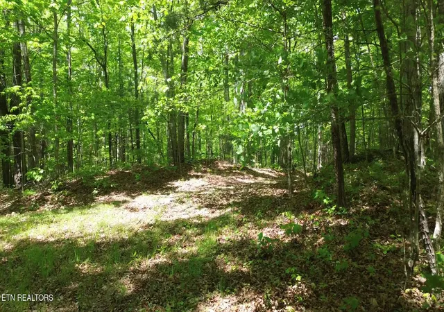 Photo 3 of Land for sale at Peters Frd Rd, Sunbright, TN 37872 | MLS# 1351913 | Listing updated on 2026-08-14