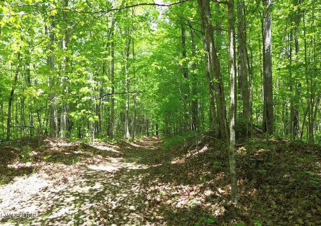 Photo 4 of Land for sale at Peters Frd Rd, Sunbright, TN 37872 | MLS# 1351913 | Listing updated on 2026-08-14