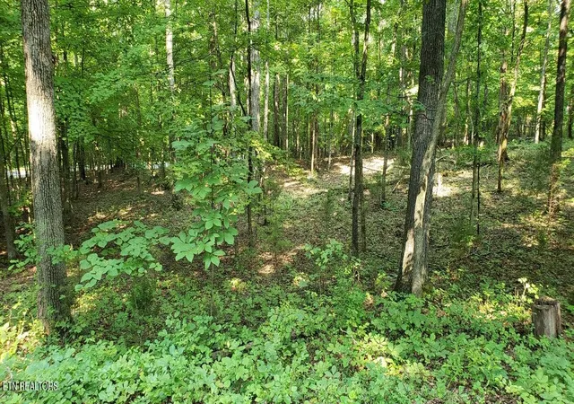 1st image of 244 Gadusi Wy, Loudon, TN 37774 | MLS# 1351891