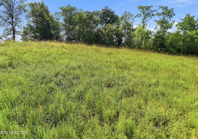 Photo 4 of Land for sale at Tbd Holston River Dr, Rutledge, TN 37861 | MLS# 1352459 | Listing updated on 2026-08-20
