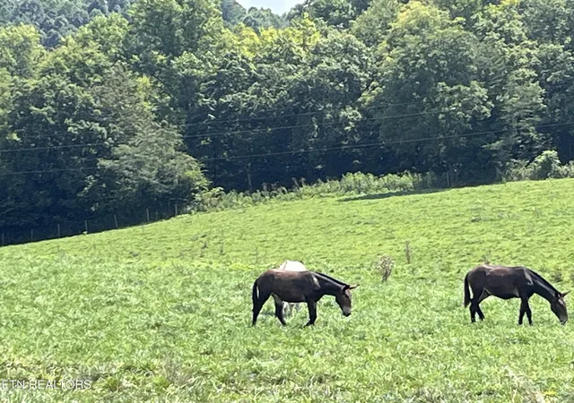 Photo 2 of Land for sale at 160 County Rd 968, Delano, TN 37325 | MLS# 1351960 | Listing updated on 2026-08-15