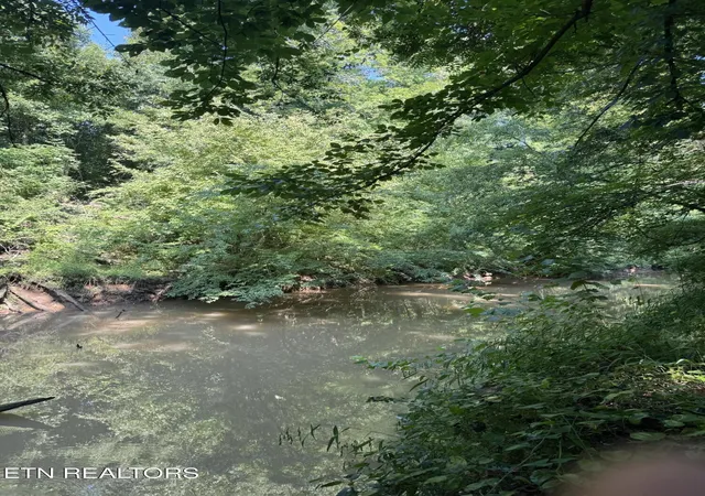 Photo 31 of Land for sale at 160 County Rd 968, Delano, TN 37325 | MLS# 1351960 | Listing updated on 2026-08-15