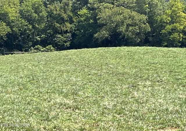 Photo 3 of Land for sale at 160 County Rd 968, Delano, TN 37325 | MLS# 1351960 | Listing updated on 2026-08-15