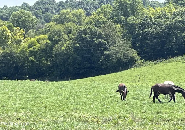 Photo 3 of Land for sale at 160 County Rd 968, Delano, TN 37325 | MLS# 1351960 | Listing updated on 2026-08-15