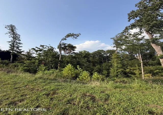 12th image of Lot 143 Reedmont Wy, Sevierville, TN 37876 | MLS# 1351928