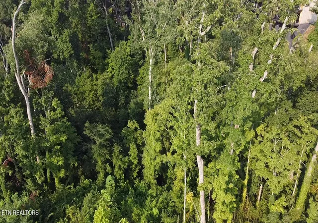 Photo 3 of Land for sale at Lot 143 Reedmont Way, Sevierville, TN 37876 | MLS# 1351928 | Listing updated on 2026-08-17