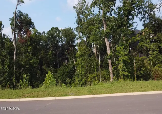 Photo 3 of Land for sale at Lot 143 Reedmont Way, Sevierville, TN 37876 | MLS# 1351928 | Listing updated on 2026-08-17