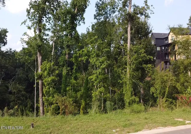 1st image of Lot 144 Reedmont Wy, Sevierville, TN 37876 | MLS# 1351929