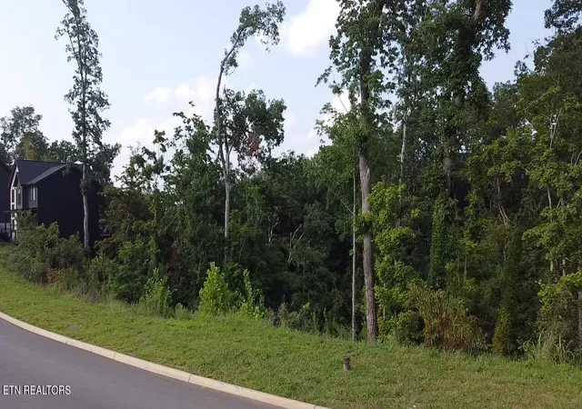 2nd image of Lot 144 Reedmont Wy, Sevierville, TN 37876 | MLS# 1351929