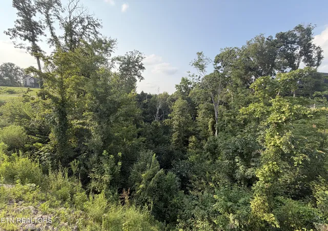 16th image of Lot 145 Reedmont Wy, Sevierville, TN 37876 | MLS# 1351930